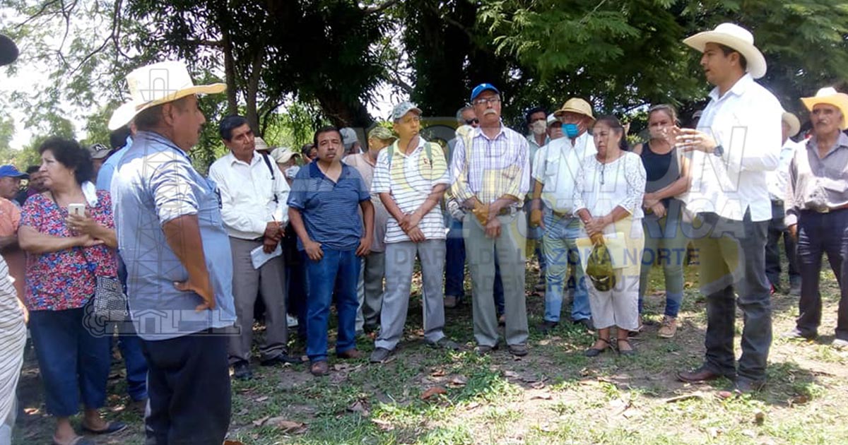 Darán impulso a la agricultura orgánica