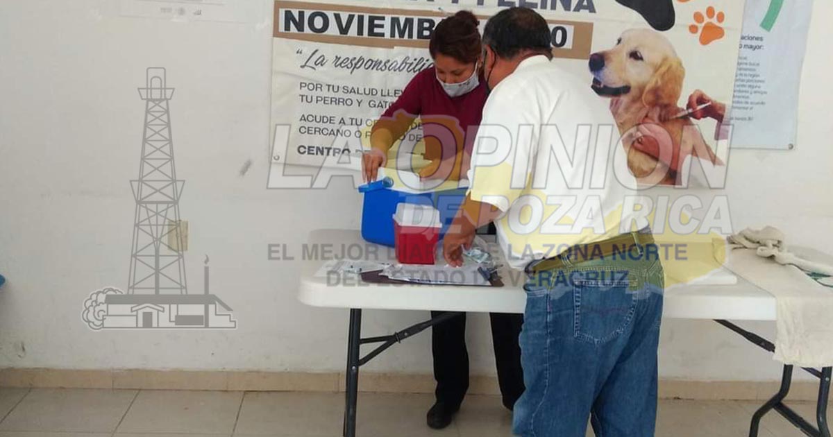 En marcha campaña de vacunación antirrábica