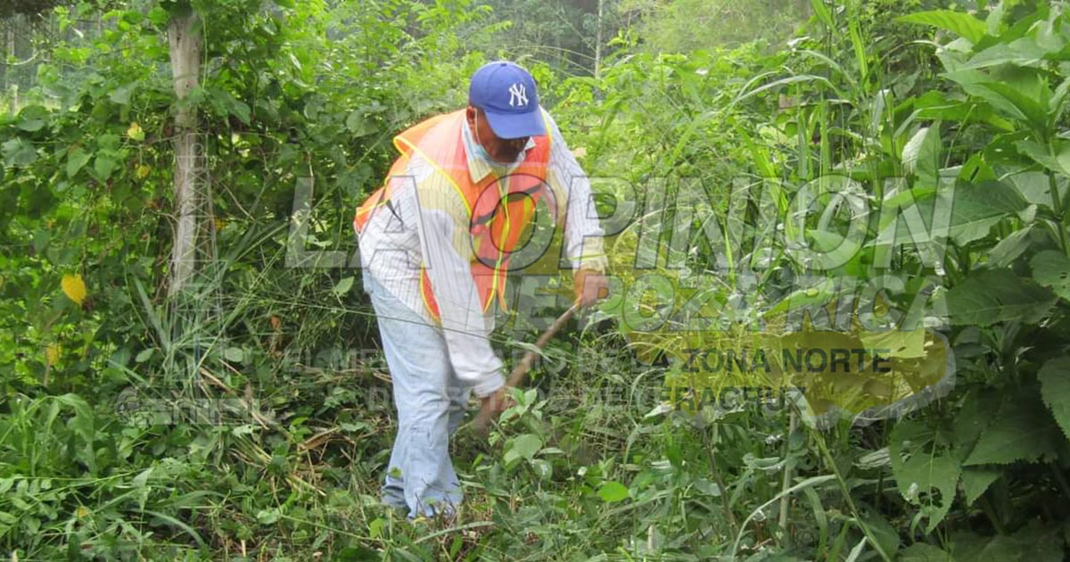 Falta más apoyo para los productores de naranja