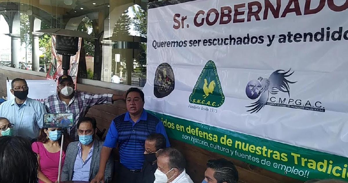 ¡Que nos reciba el gobernador! Piden galleros una audiencia