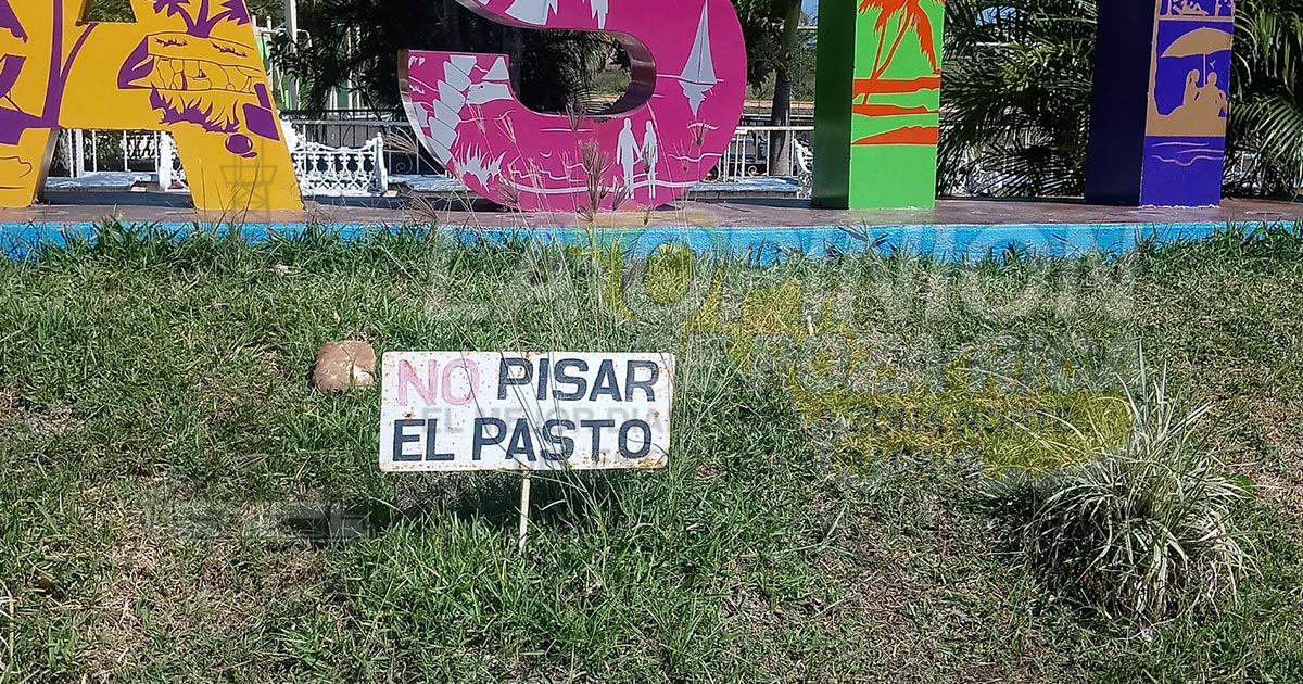 Jardineras y las letras, descuidadas y entre la hierba