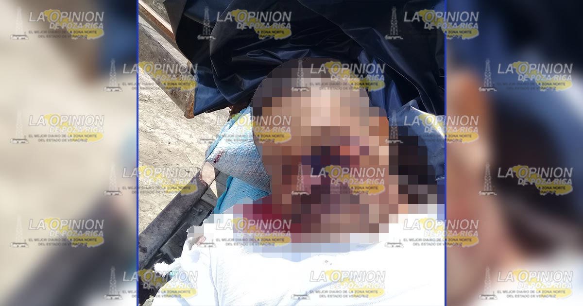 Lo mató una picadora de forraje
