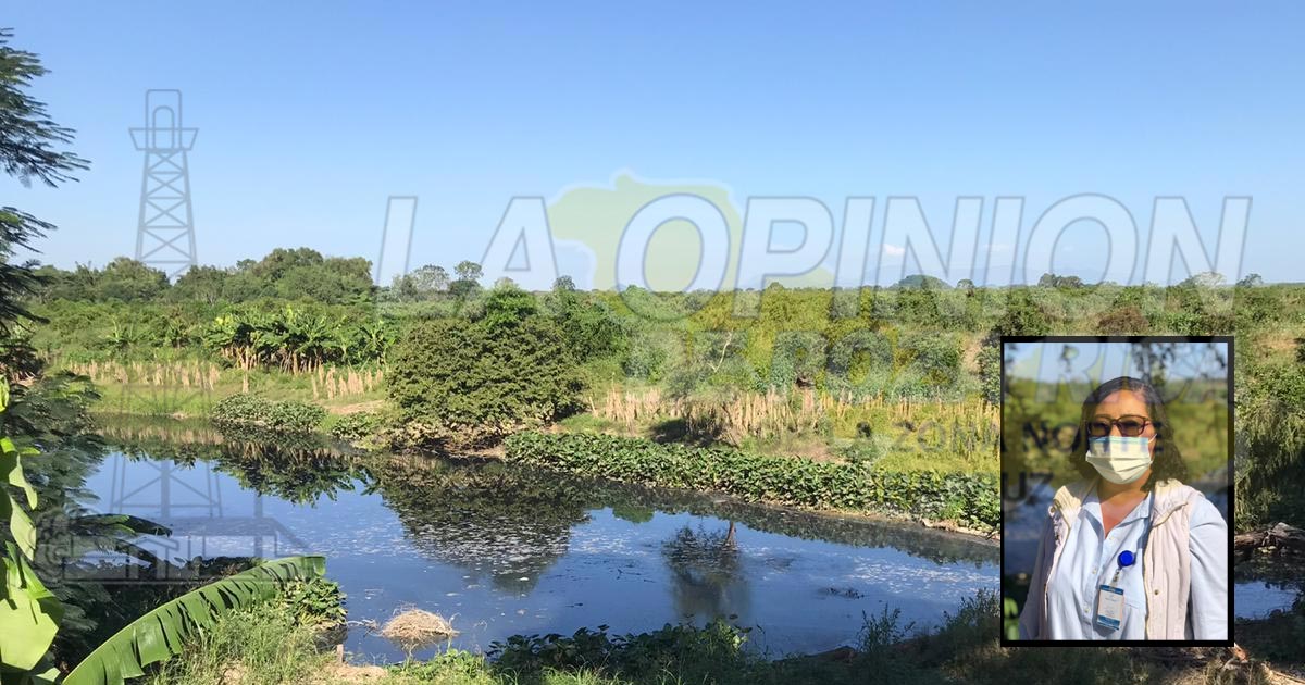 Supervisan limpieza del arroyo en el ejido de Álamo Tortuga