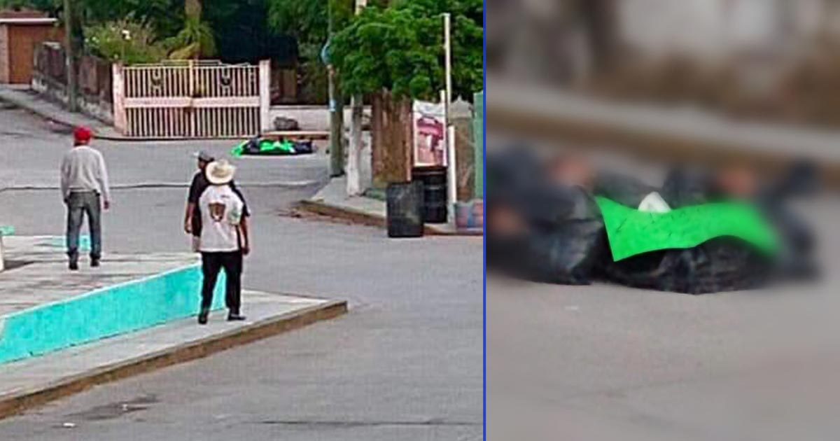 Hallan descuartizados en Paso de Ovejas