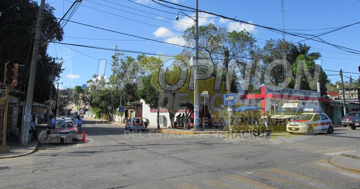 Prohibirán venta de arbolitos en las calles