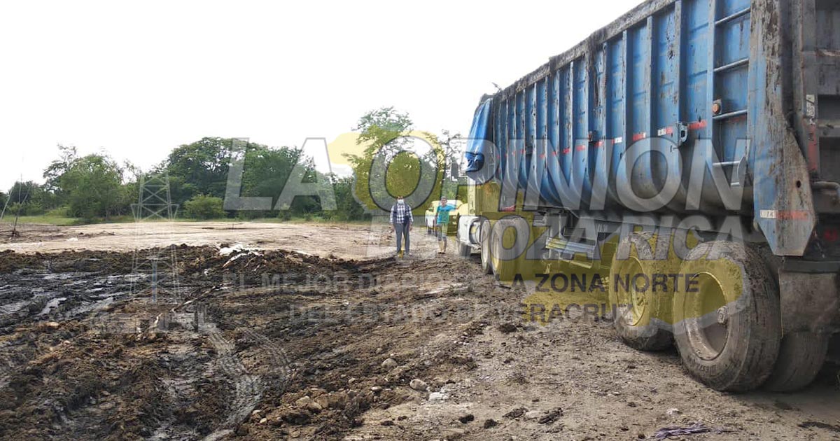 Saneamiento de Bachoco en terreno de Alazán a 50 %