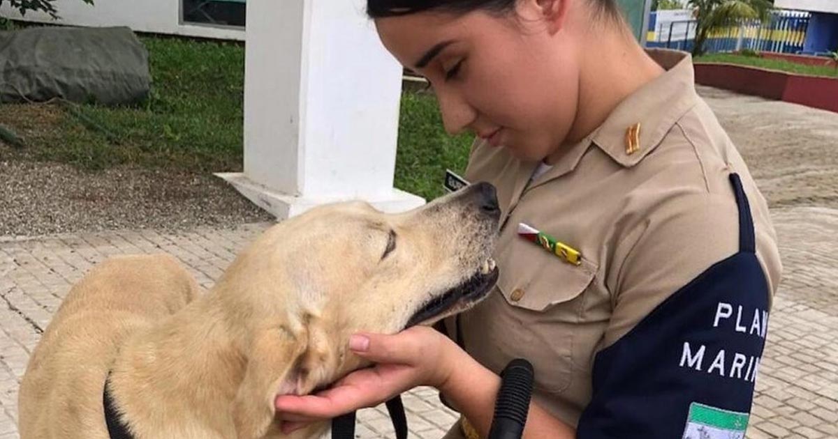 Semar adopta a perrito rescatado