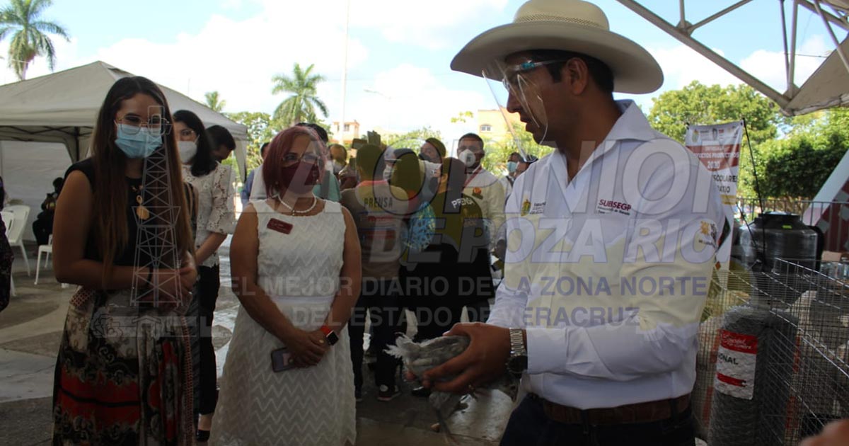 Subsecretario de Ganadería minimiza problemas por sequía