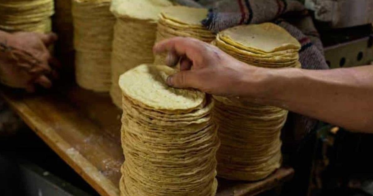 Prevén aumento en el precio de la tortilla en todo el país a partir de diciembre