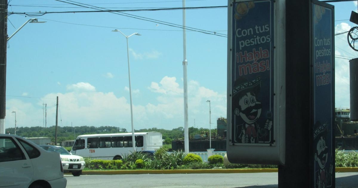 Abundan por toda la ciudad