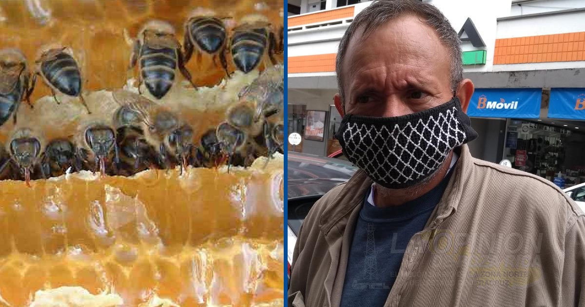 Cae producción y precio de la miel