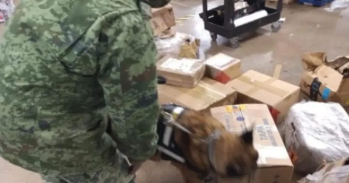 SEDENA asegura 27 litros de metanfetamina en Aeropuerto Internacional de SLP
