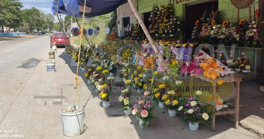 Cierre de cementerios pega a vendedores de flores