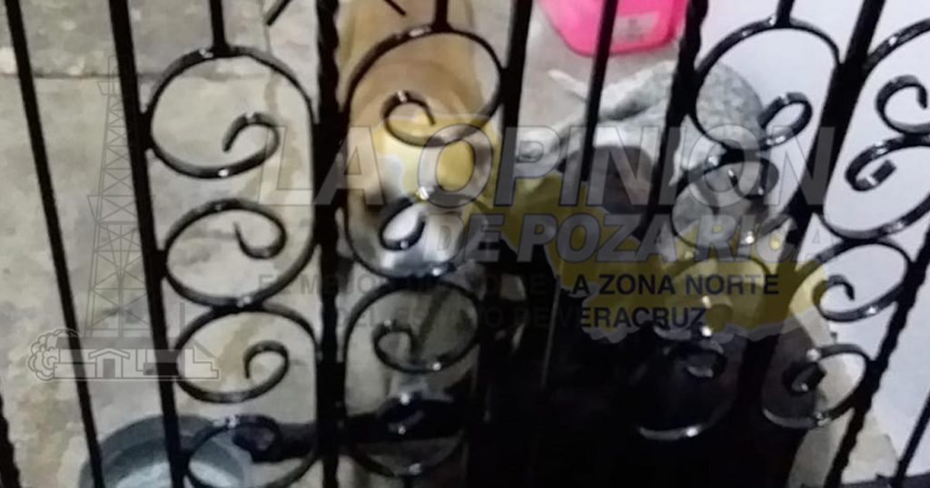 Polémica desaparición de perros