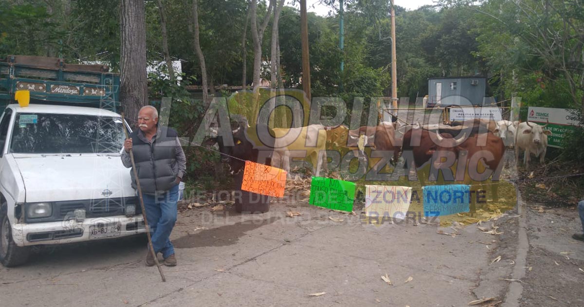 Instalaciones de Pemex convertidas en potrero