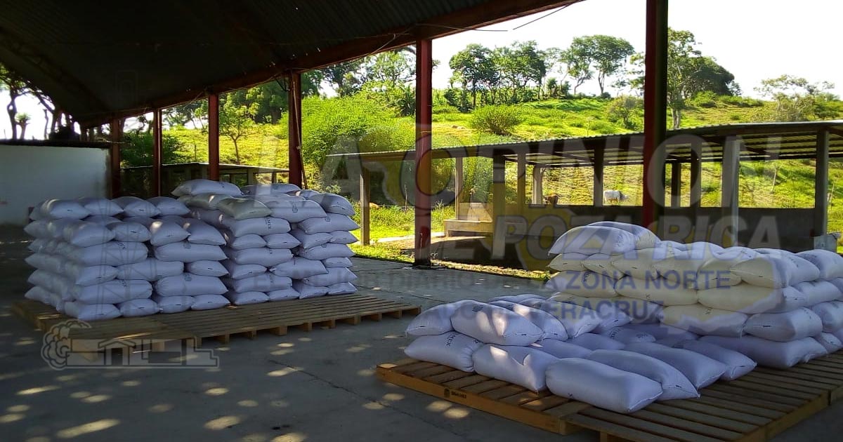 Instalan centro de acopio de SEGALMEX en Cabellal I, Cazones