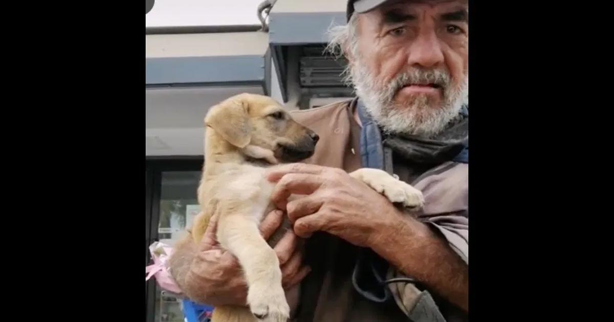 (+ Video) Abuelito pide ayuda a veterinario para que cure a su perrita