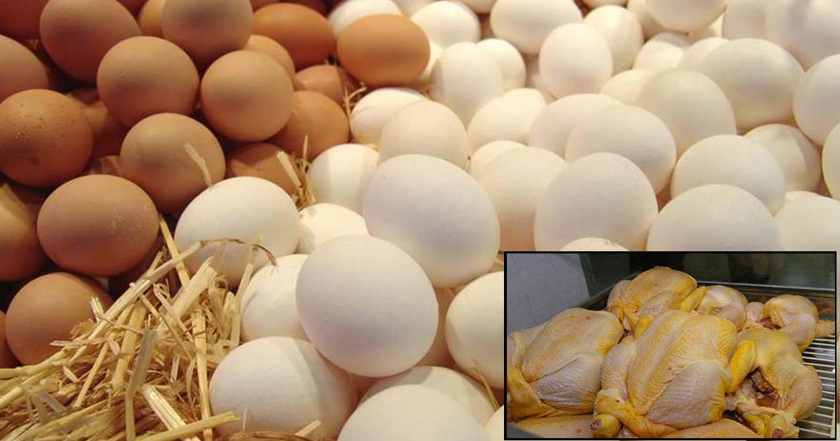 Subirán precios del huevo y pollo