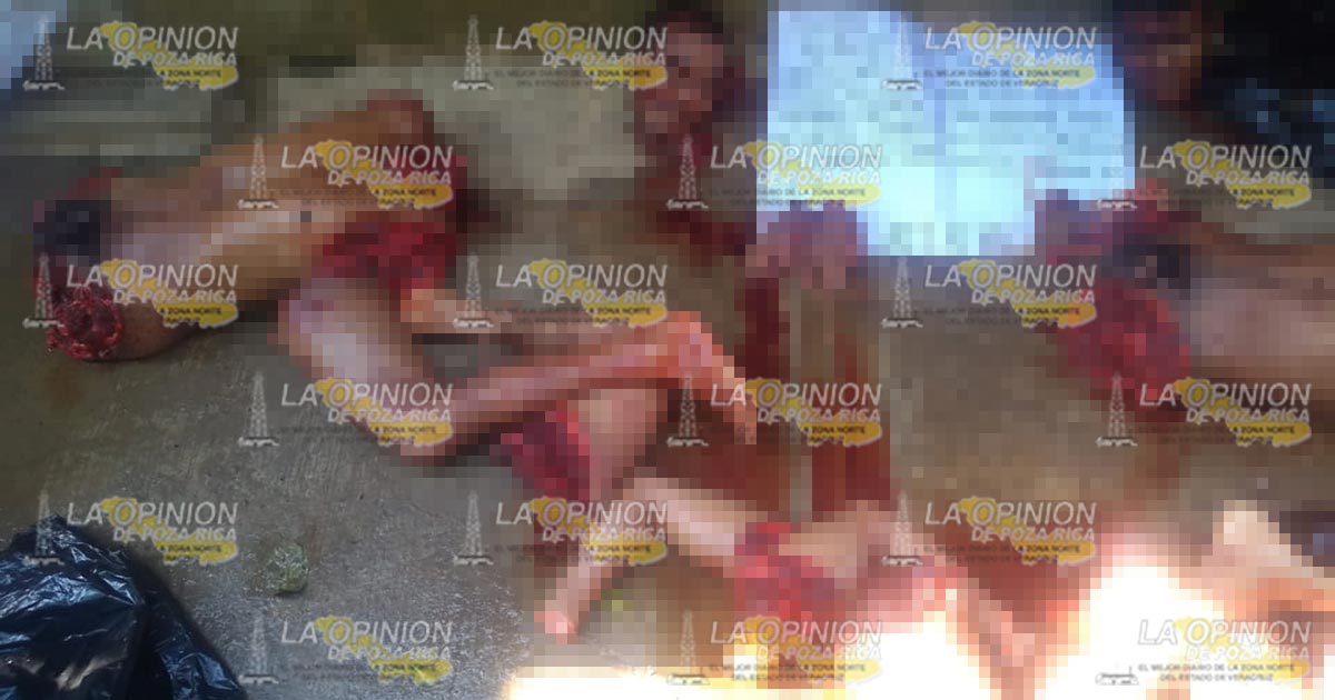 Terror en Filomeno Mata