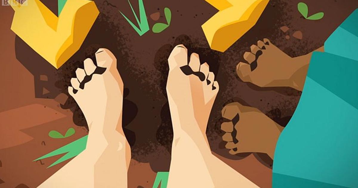 4 cosas que hacen de la tierra una de las cosas más asombrosas de nuestro planeta