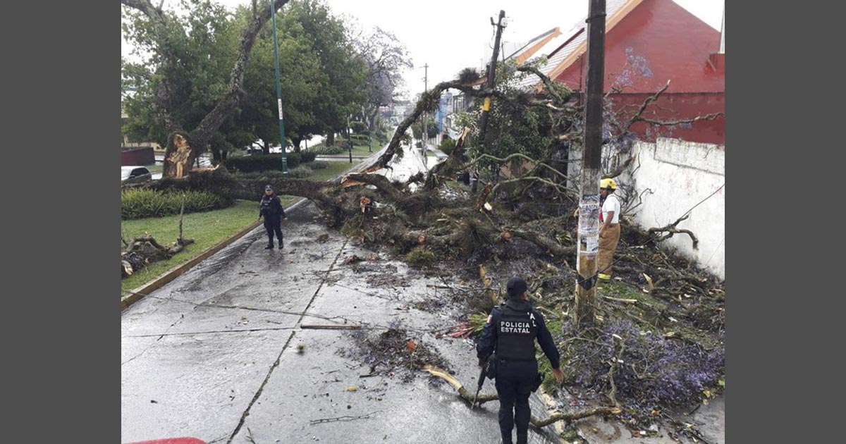 Sustazo por los fuertes vientos en CDMX