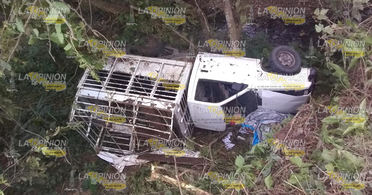 Vuelca camioneta cargada con cerdos