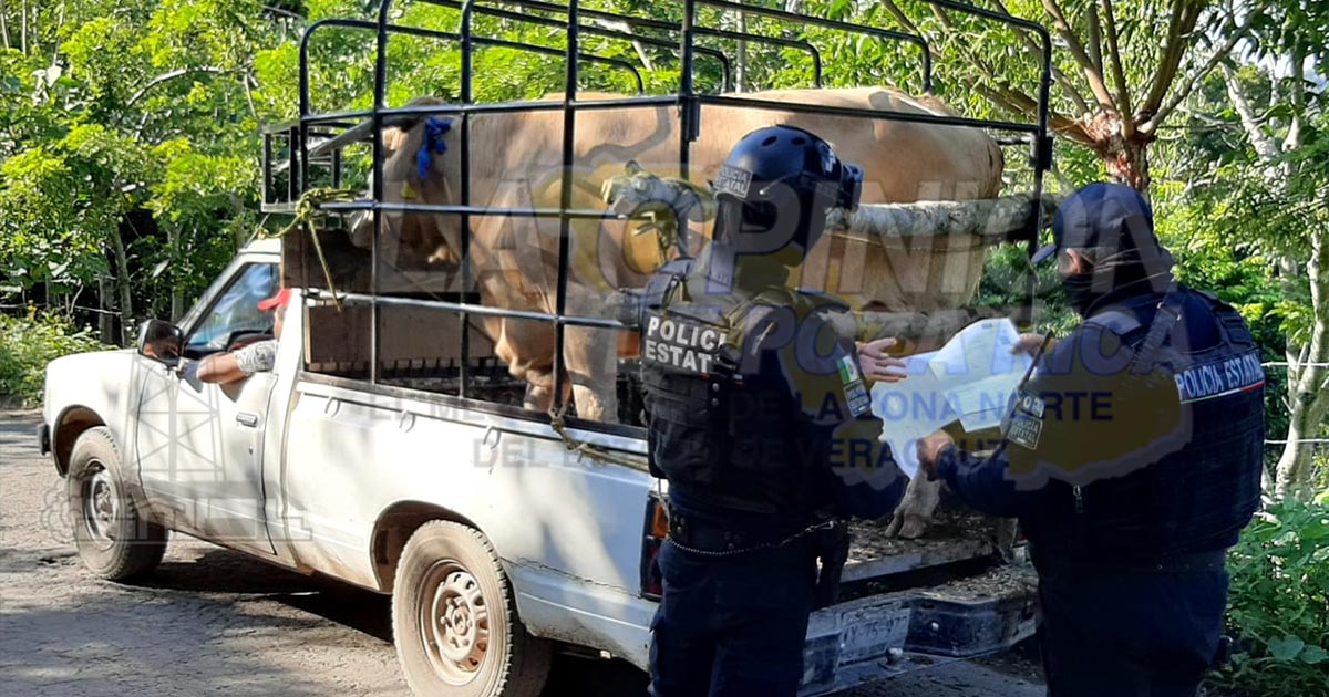 SSP y Tránsito realizan operativo, buscan disminuir actos delictivos