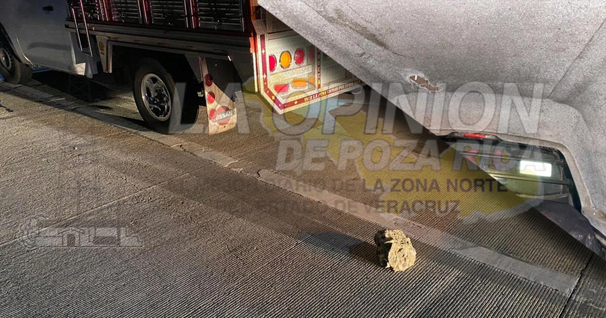 ¡Autopista peligrosa!