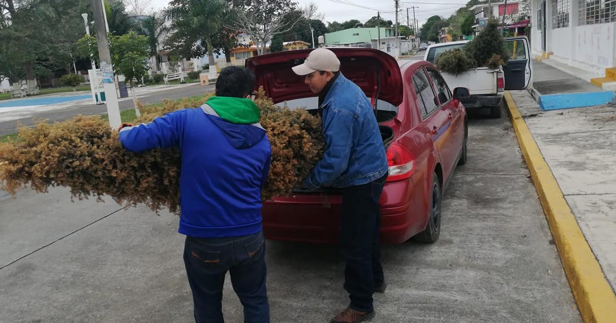 Campaña “Recicla tu Navidad” da resultados positivos
