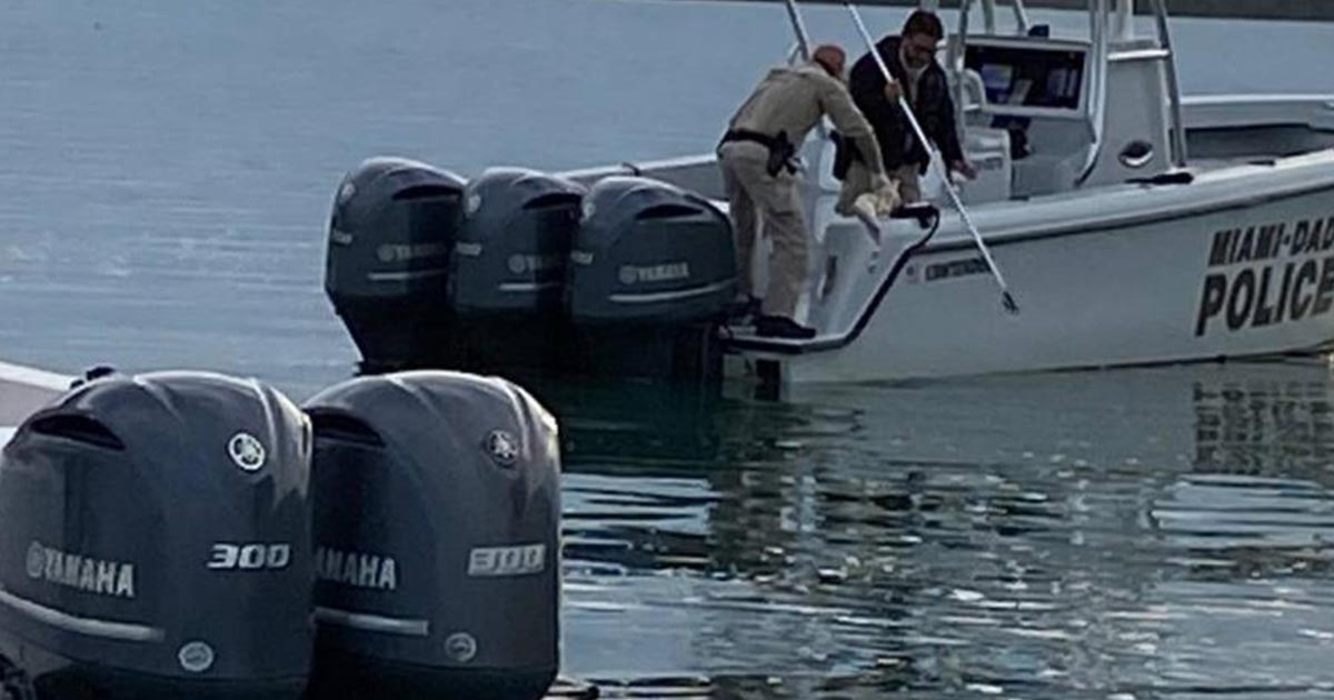 Capitán de barco encuentra pierna humana flotando