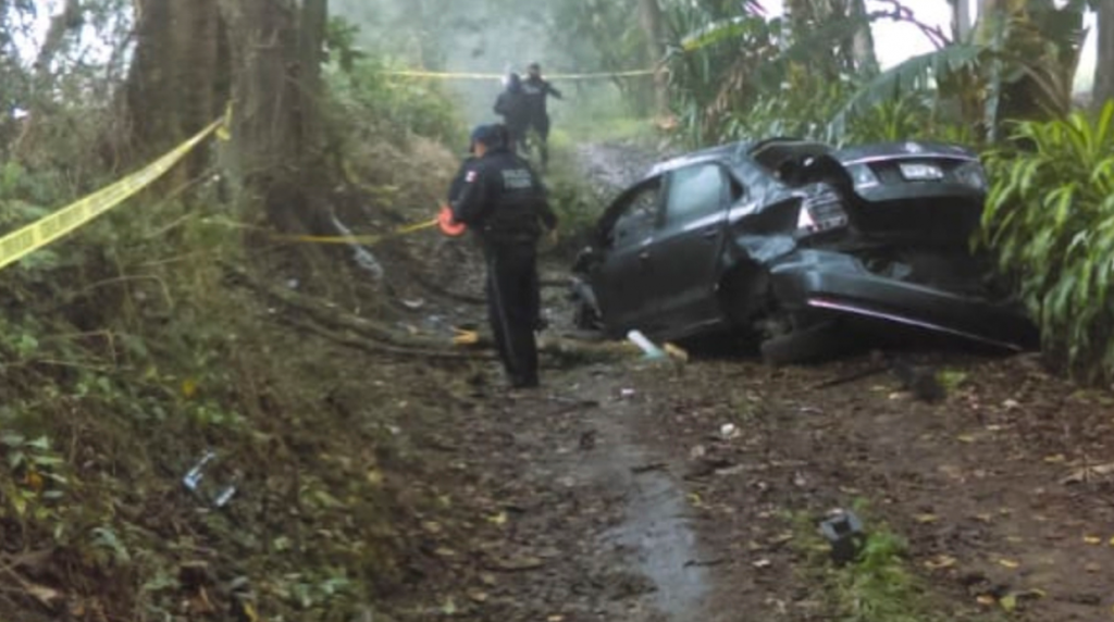Liberan cables de energía eléctrica de las ramas en el bulevar Adolfo Ruiz Cortines