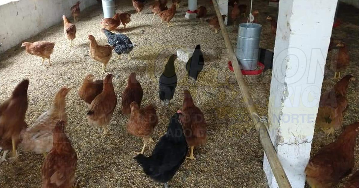 Gesitionarán proyectos productivos para Coatzintla; el año pasado quedó fuera