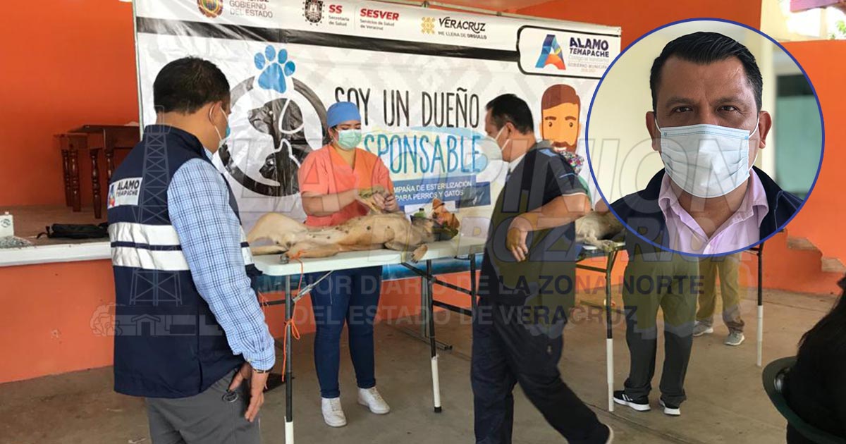 Previene alta incidencia de animales callejeros