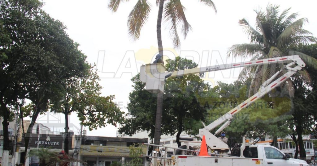 Liberan cables de energía eléctrica de las ramas en el bulevar Adolfo Ruiz Cortines