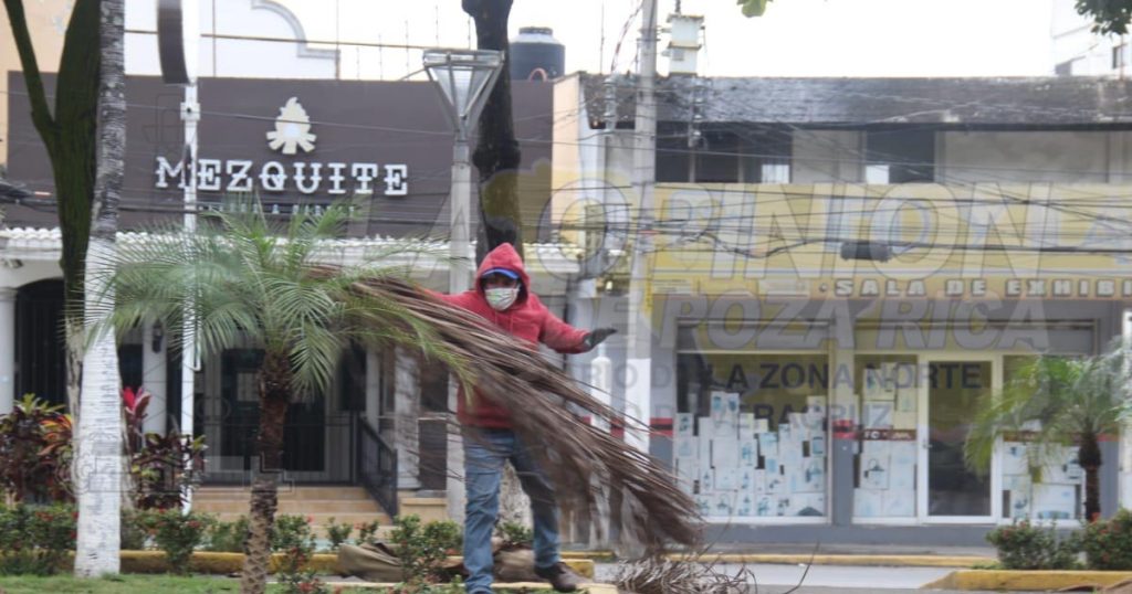 Liberan cables de energía eléctrica de las ramas en el bulevar Adolfo Ruiz Cortines