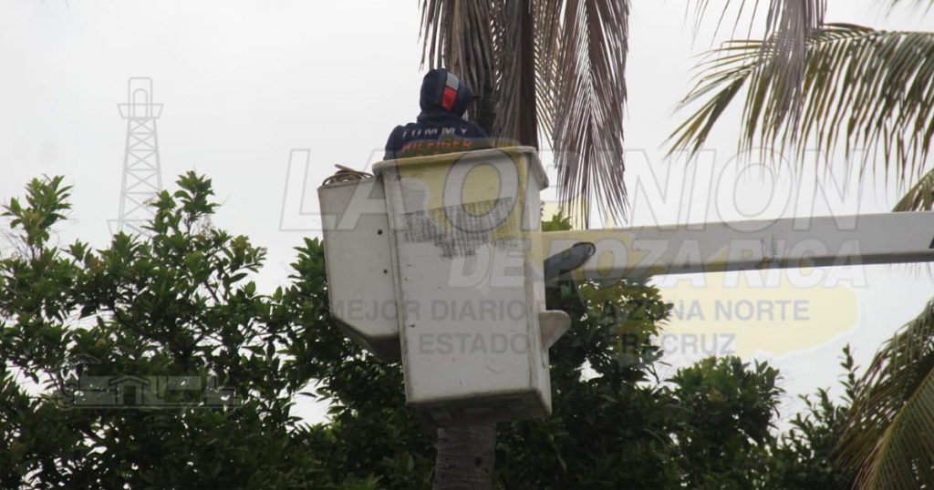 Liberan cables de energía eléctrica de las ramas en el bulevar Adolfo Ruiz Cortines