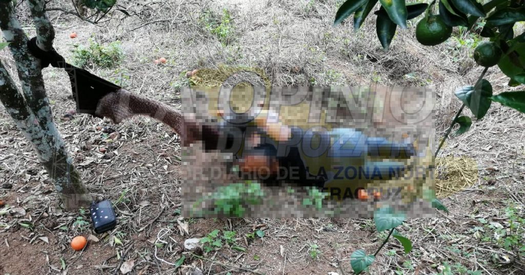 Encuentran cuerpo putrefacto de mujer