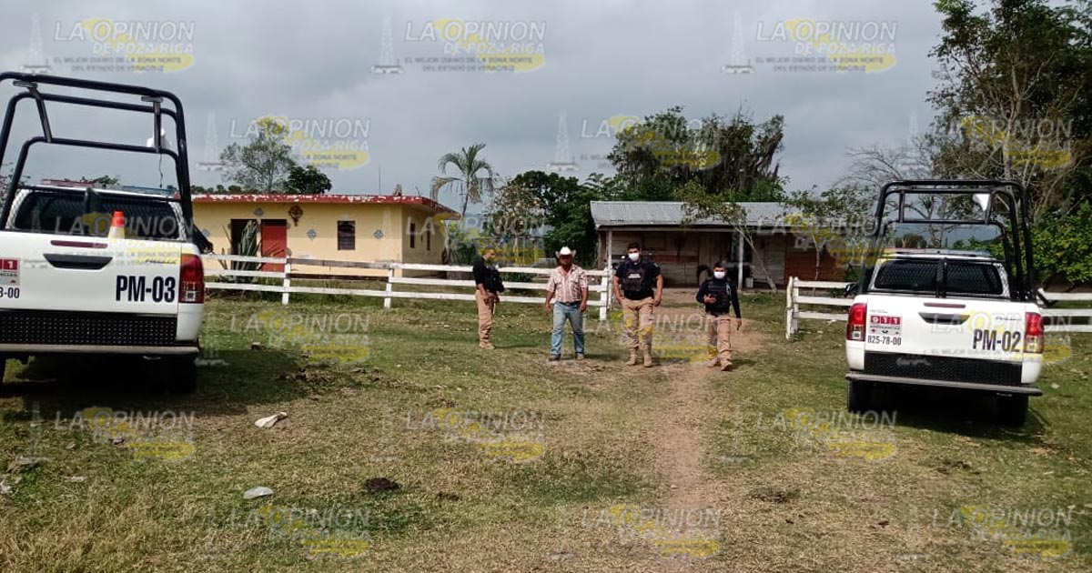 Los abigeos merodean comunidades de Coatzintla