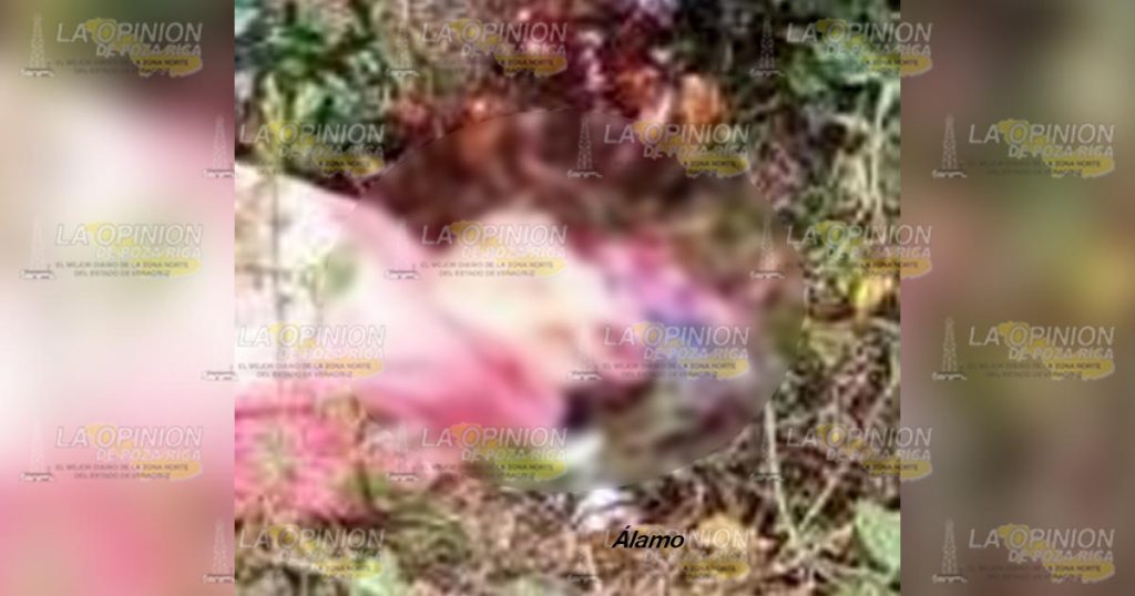 Localizan cadáver en la localidad de Brasilar