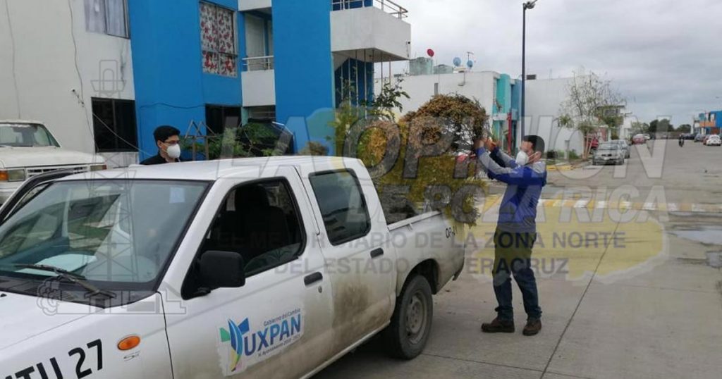 A reciclaje más de 300 arbolitos en Tuxpan