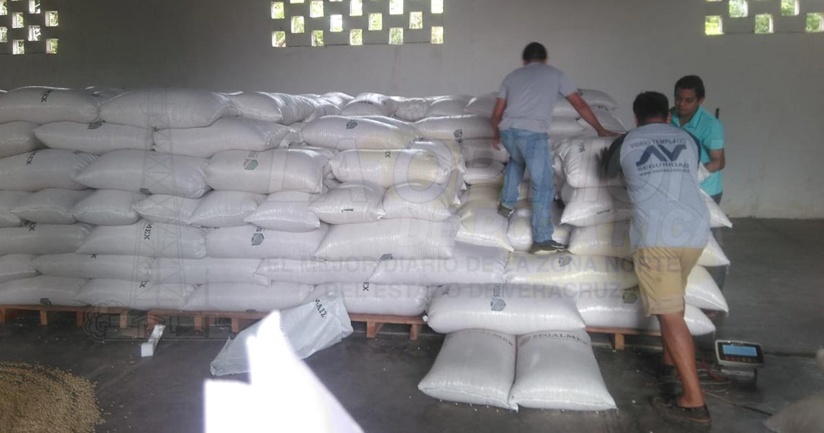 Coyotes acaparan grano de maíz