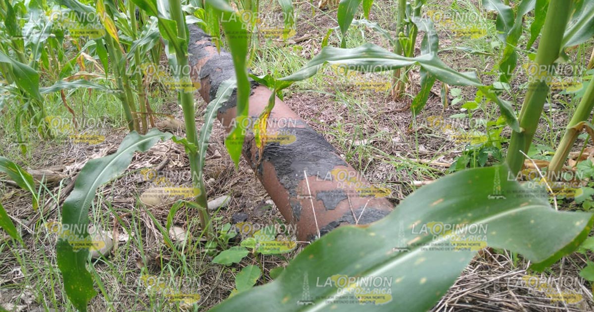 Se registra fuga de gas en Reforma Escolín (Video)