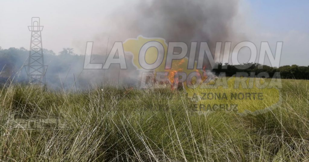 Criminal matanza de cangrejos y otras especies al prenderle fuego a manglar, en La Barra de Cazones