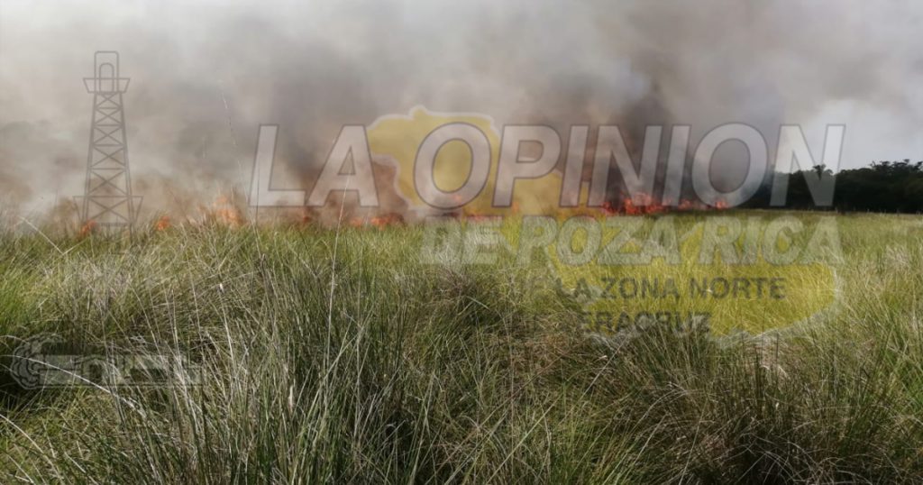 Criminal matanza de cangrejos y otras especies al prenderle fuego a manglar, en La Barra de Cazones