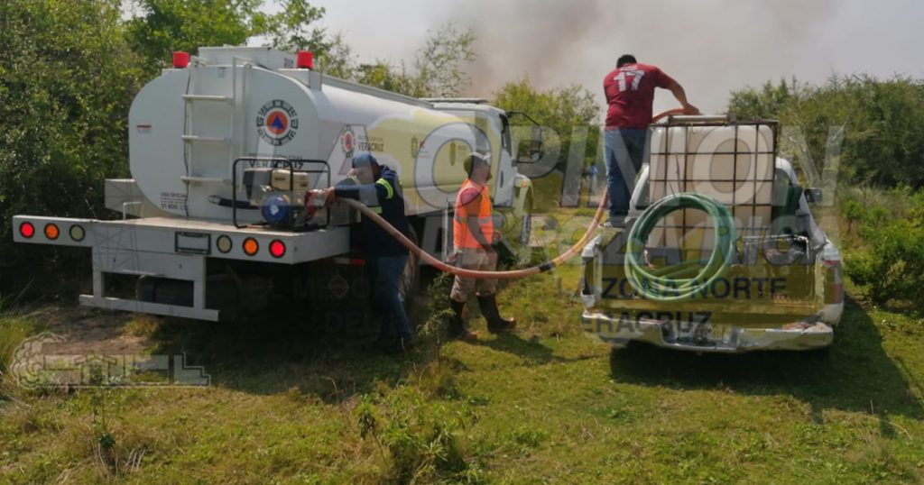 Criminal matanza de cangrejos y otras especies al prenderle fuego a manglar, en La Barra de Cazones