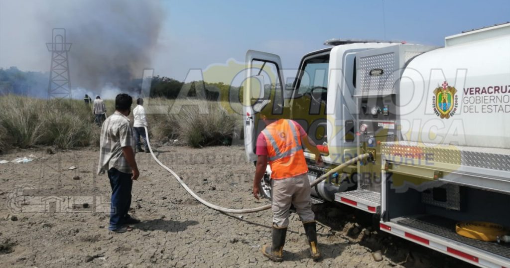Criminal matanza de cangrejos y otras especies al prenderle fuego a manglar, en La Barra de Cazones