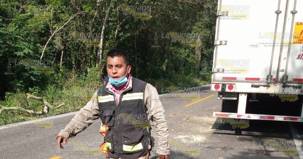 Le cae árbol a un tráiler