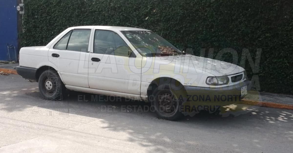 Auto maceta, desde hace 2 años