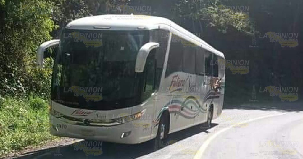 Choca autobús y se da a la fuga