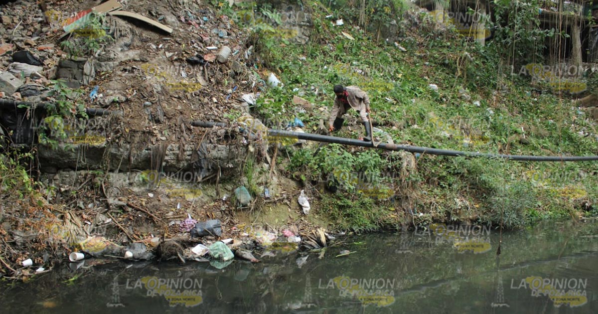 Exhortan a denunciar a quienes tiran basura